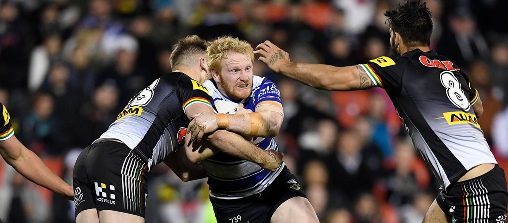 GALLERY: Round 21 v Panthers