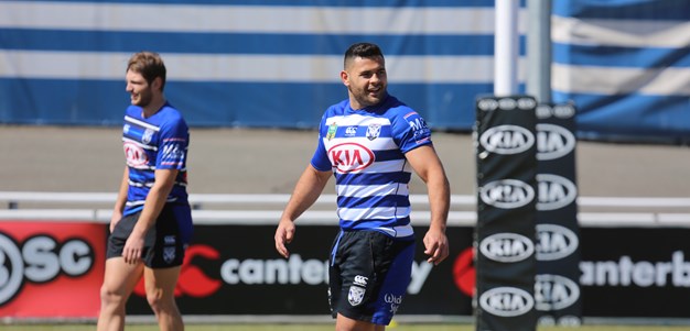 Captain's Run ahead of NRL State Championships