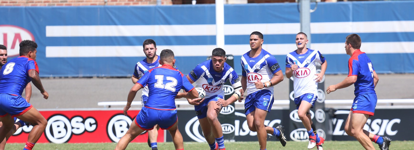 Harvey Norman Women's, Junior Reps and CRL Teams