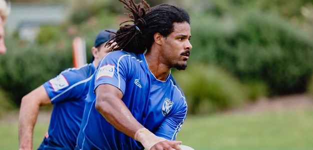 Position in focus: Wing