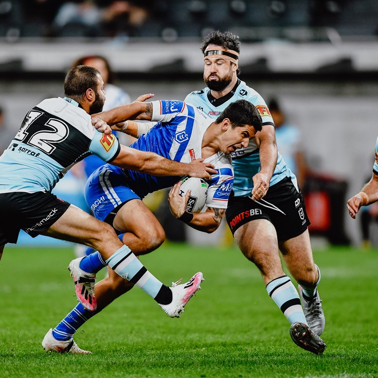 Bulldogs fall in close encounter to the Sharks
