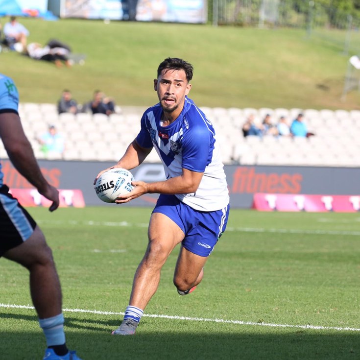 Jersey Flegg sink teeth into Sharks