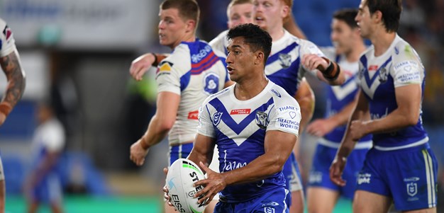 Brave Dogs fall to Knights