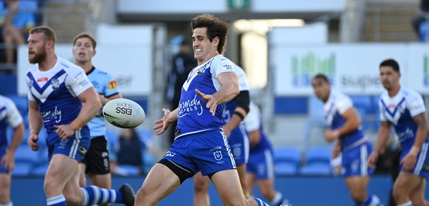 Dogs unable to reign in Sharks