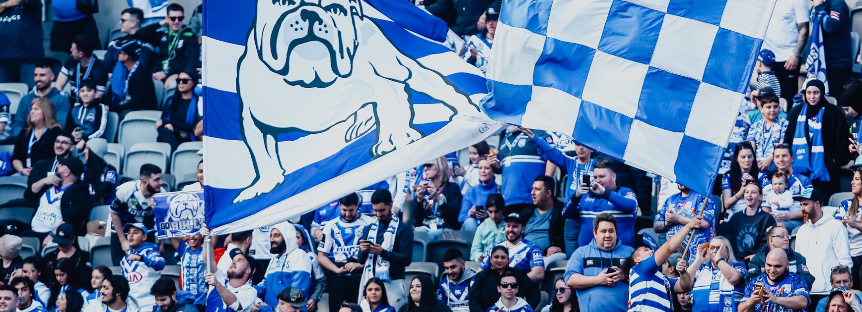 Bulldogs fans have plenty to cheer about in 2023.