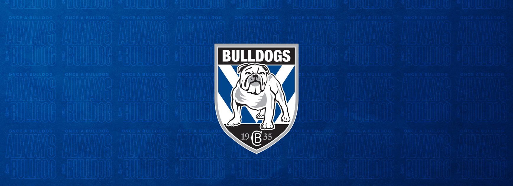 Members Update - April 2023