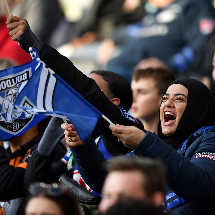 Your Breed, Your Family: 2024 Memberships Now Open