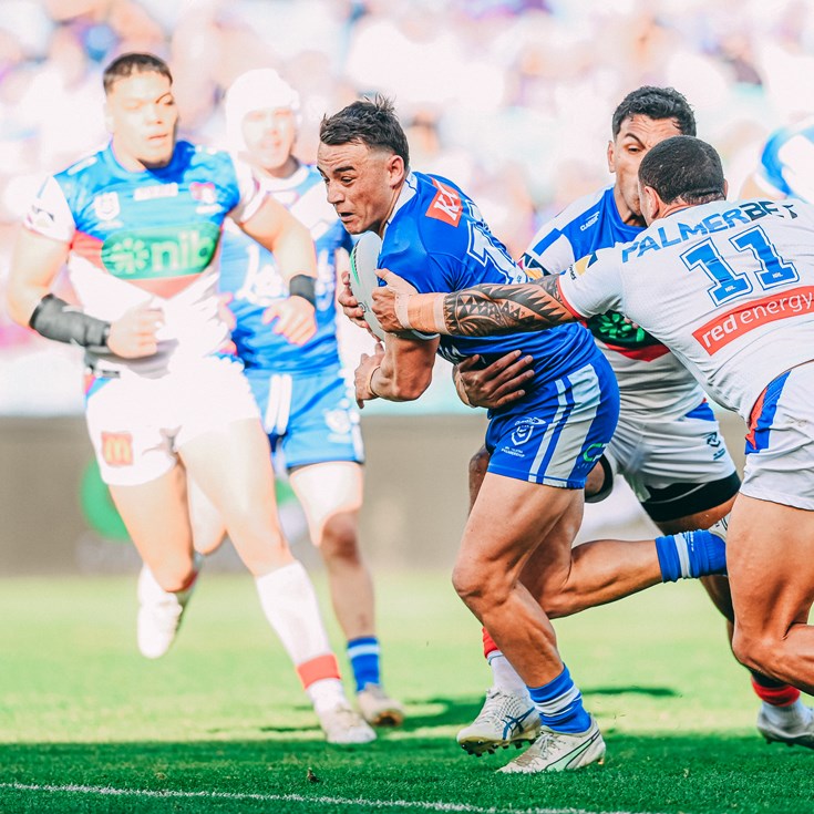 Bulldogs go down to Knights at home