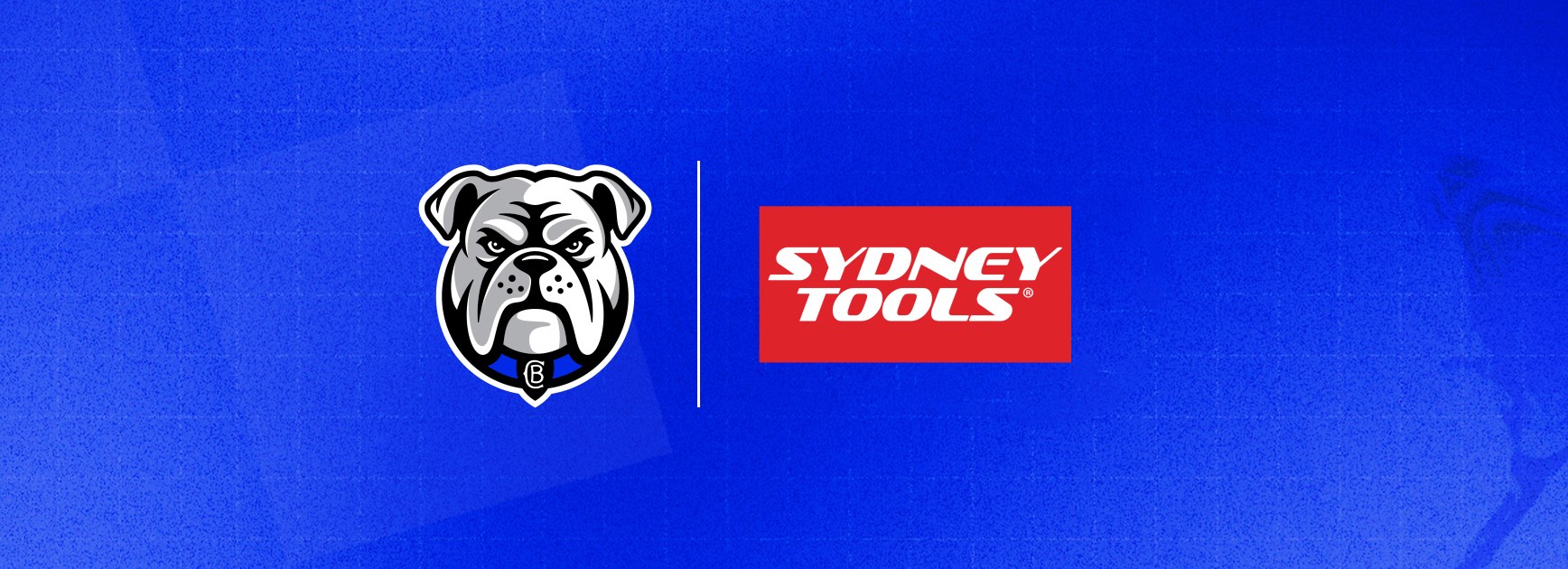 Building Into the Future: Sydney Tools Renews with Bulldogs