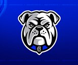 Academy Wrap Round 1: Bulldogs Pile Points on Manly