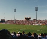 Belmore and Beyond: Our Home Grounds