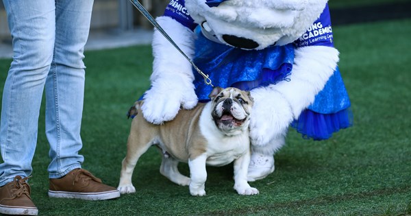 www.bulldogs.com.au